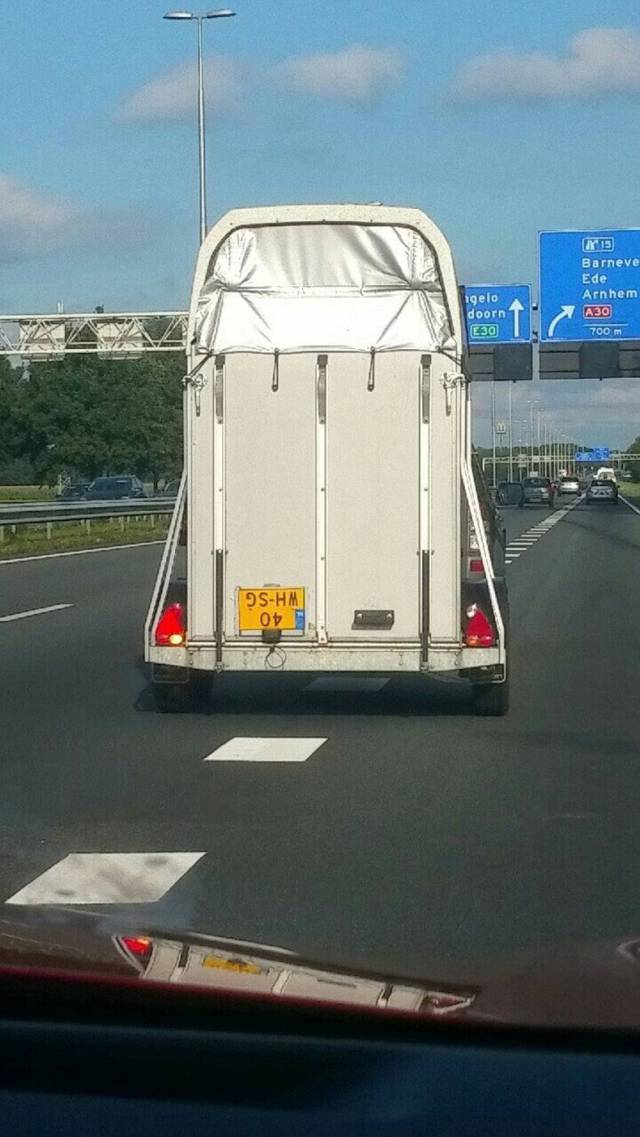 daily picdump 84 pics 28.html - 84 HD Photos | Premium Gallery 2017