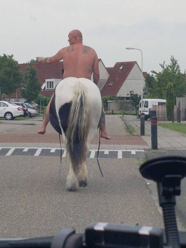 daily picdump 84 pics 28.html - 84 HD Photos | Premium Gallery 2017