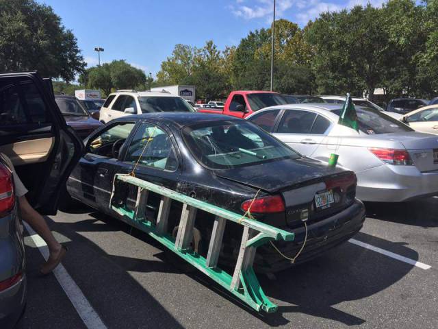 morning picdump 50 pics 4.html - 50 HD Photos | Premium Gallery 2017