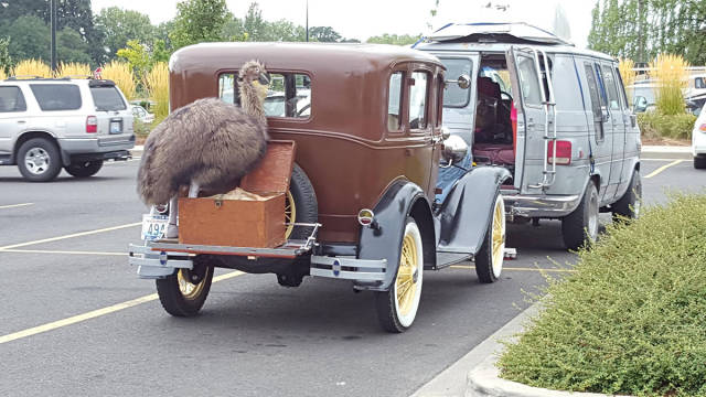 morning picdump 50 pics 4.html - 50 HD Photos | Premium Gallery 2017