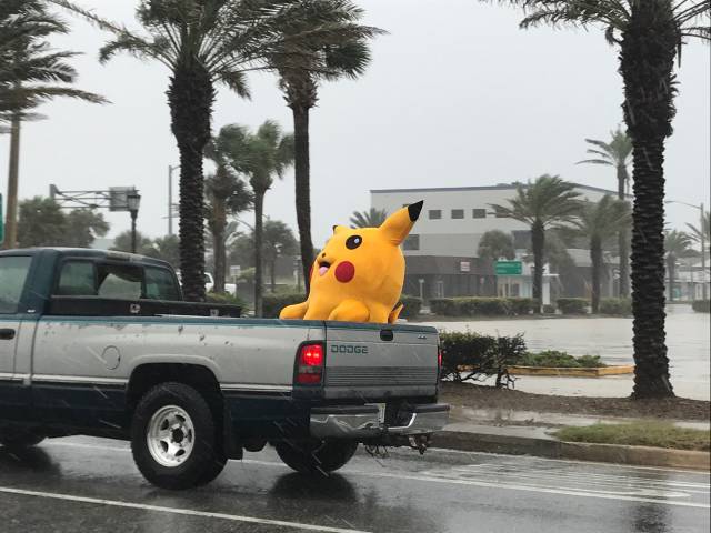 morning picdump 50 pics 4.html - 50 HD Photos | Premium Gallery 2017