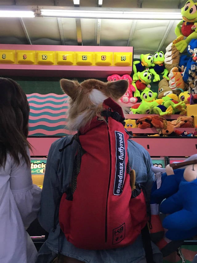 morning picdump 50 pics 4.html - 50 HD Photos | Premium Gallery 2017