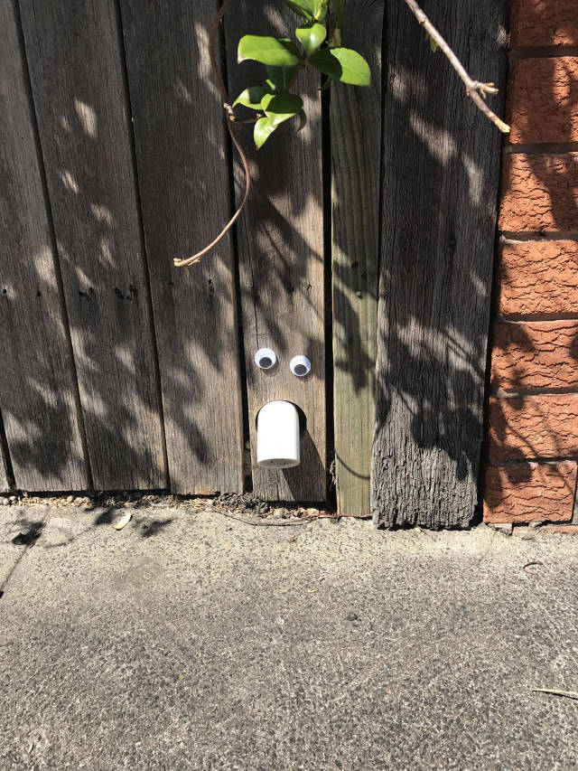 morning picdump 50 pics 4.html - 50 HD Photos | Premium Gallery 2017