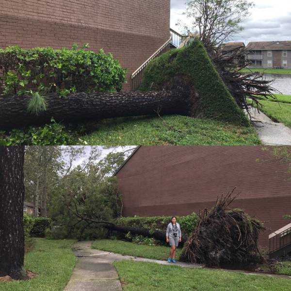 daily picdump 84 pics 41.html - 84 HD Photos | Premium Gallery 2017