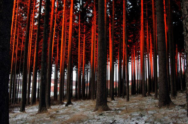 daily picdump 84 pics 41.html - 84 HD Photos | Premium Gallery 2017