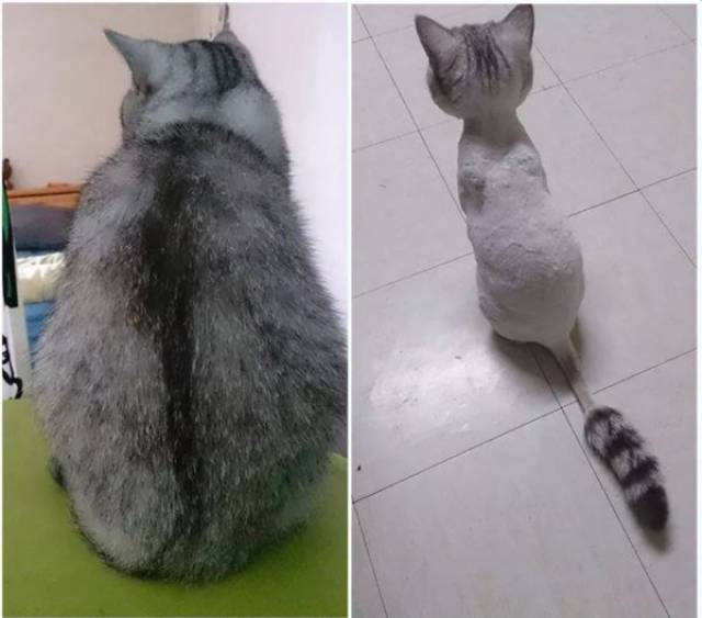 daily picdump 84 pics 41.html - 84 HD Photos | Premium Gallery 2017