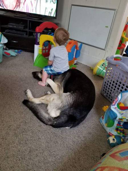 daily picdump 84 pics 41.html - 84 HD Photos | Premium Gallery 2017