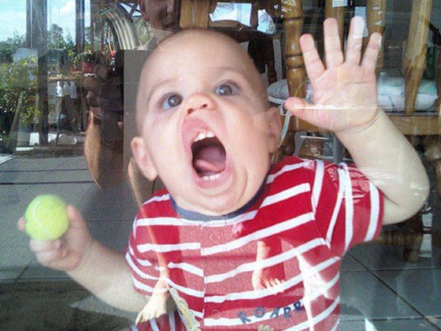 daily picdump 84 pics 41.html - 84 HD Photos | Premium Gallery 2017