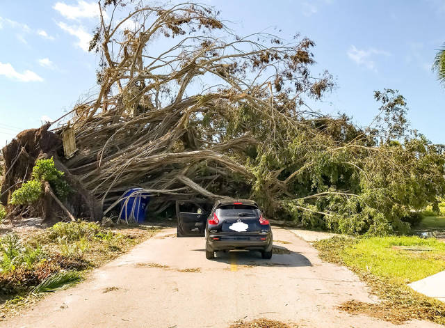 daily picdump 84 pics 41.html - 84 HD Photos | Premium Gallery 2017