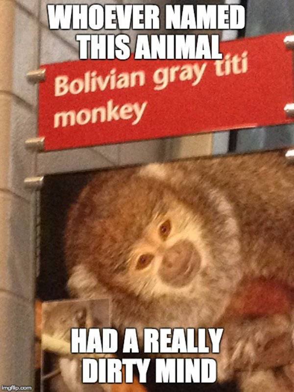 Dirty Humor Is At It Again!