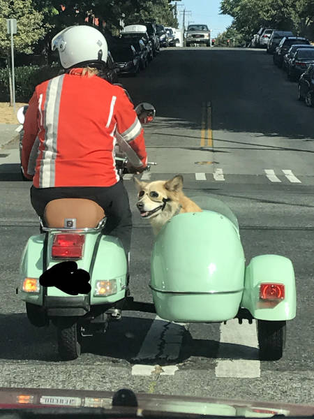 morning picdump 52 pics 10.html - 52 HD Photos | Premium Gallery 2017