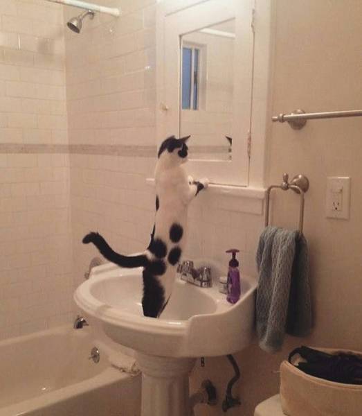 morning picdump 52 pics 10.html - 52 HD Photos | Premium Gallery 2017