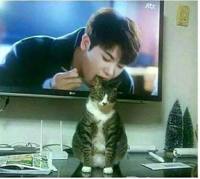 morning picdump 52 pics 10.html - 52 HD Photos | Premium Gallery 2017