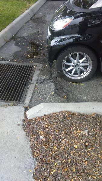 daily picdump 83 pics 30.html - 83 HD Photos | Premium Gallery 2017