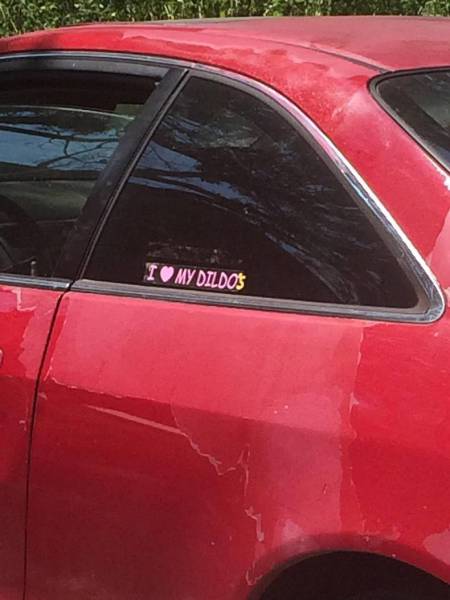 daily picdump 83 pics 30.html - 83 HD Photos | Premium Gallery 2017