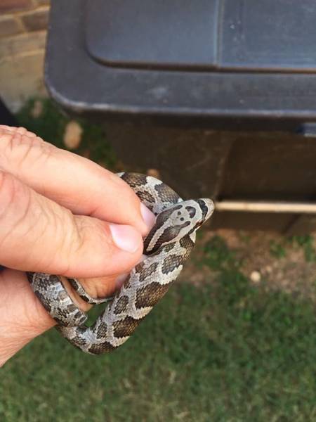 morning picdump 52 pics 12.html - 52 HD Photos | Premium Gallery 2017