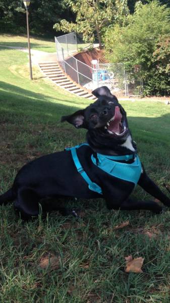 morning picdump 52 pics 12.html - 52 HD Photos | Premium Gallery 2017