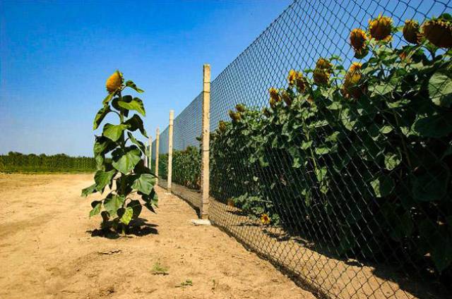 morning picdump 52 pics 12.html - 52 HD Photos | Premium Gallery 2017