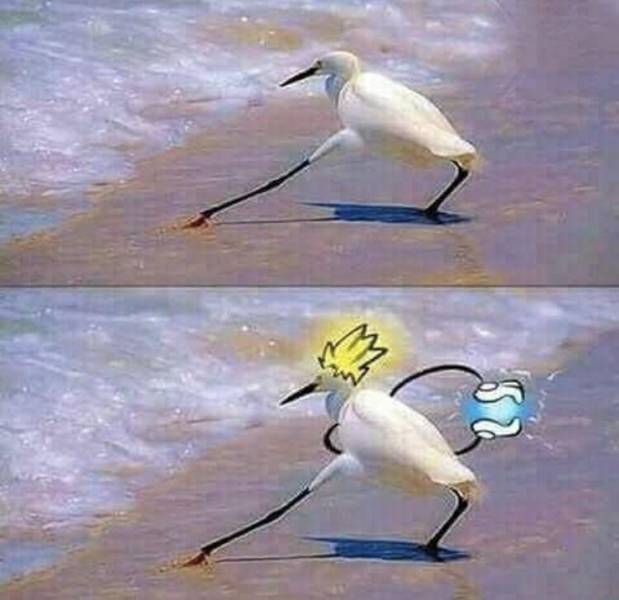 morning picdump 52 pics 12.html - 52 HD Photos | Premium Gallery 2017