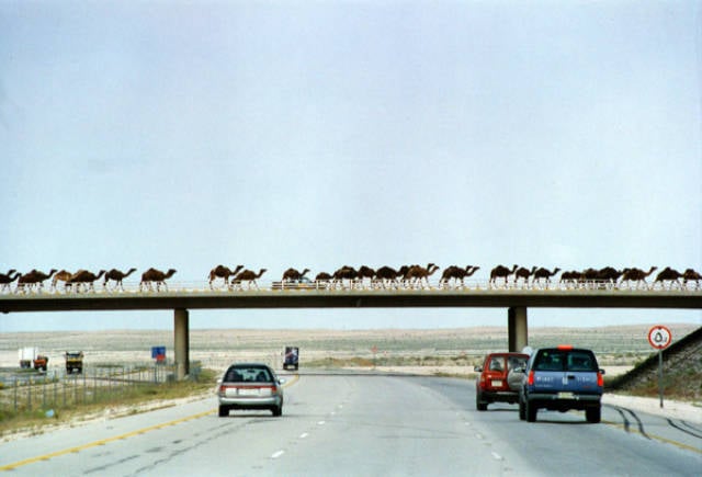 morning picdump 52 pics 12.html - 52 HD Photos | Premium Gallery 2017