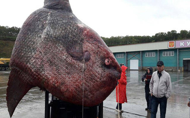 daily picdump 85 pics 46.html - 85 HD Photos | Premium Gallery 2017