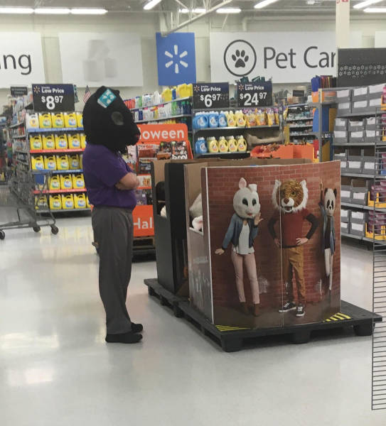 morning picdump 54 pics 2.html - 54 HD Photos | Premium Gallery 2017