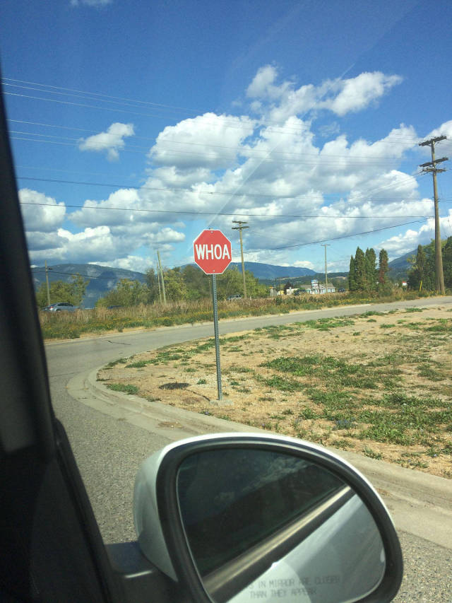 morning picdump 54 pics 2.html - 54 HD Photos | Premium Gallery 2017