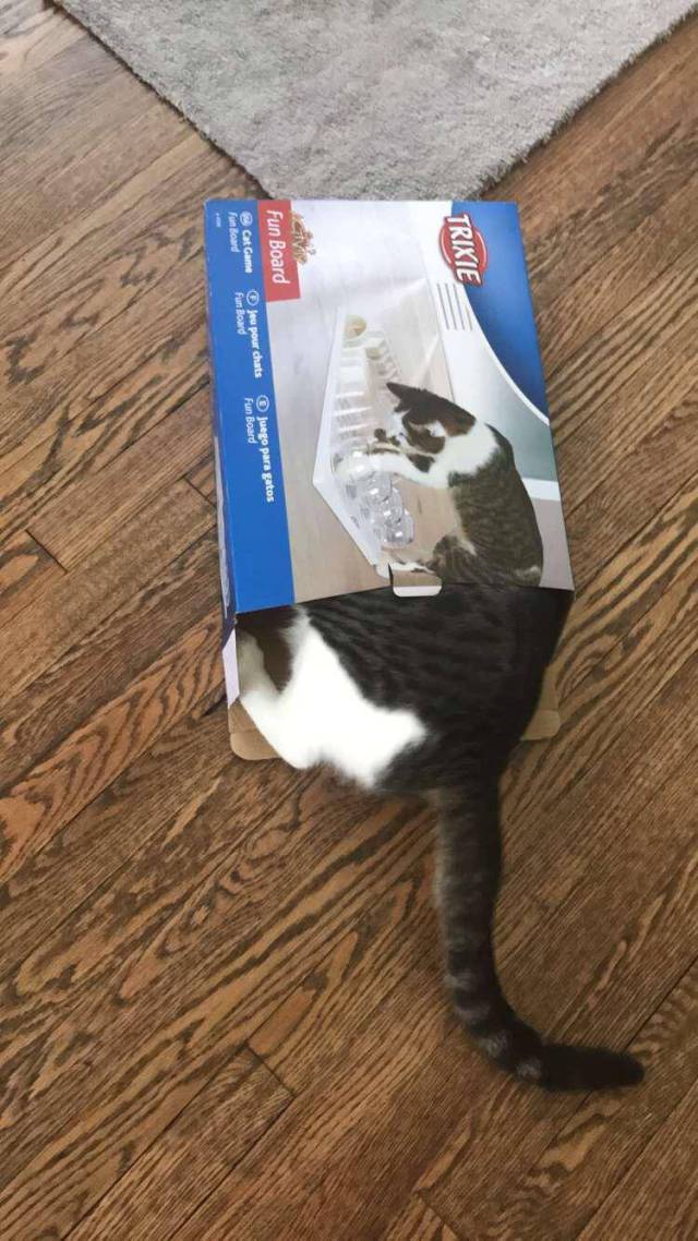 morning picdump 54 pics 2.html - 54 HD Photos | Premium Gallery 2017