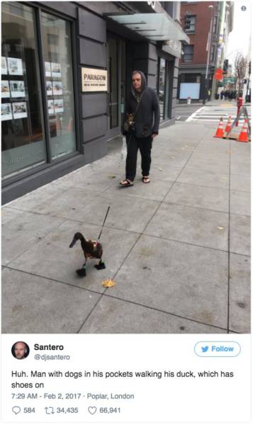 Daily Picdump [WEEKEND EDITION]