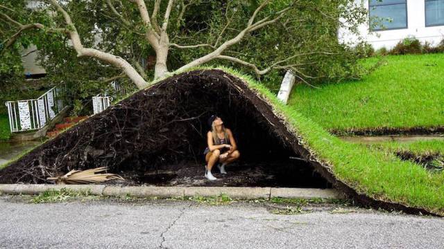 Daily Picdump [WEEKEND EDITION]