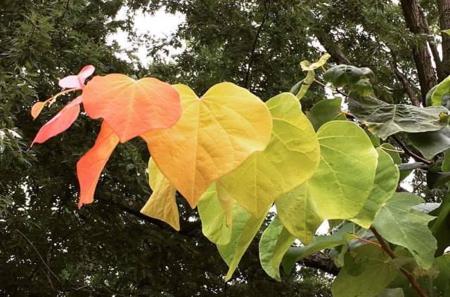 daily picdump weekend edition 57 pics 3.html - 57 HD Photos | Premium Gallery 2017