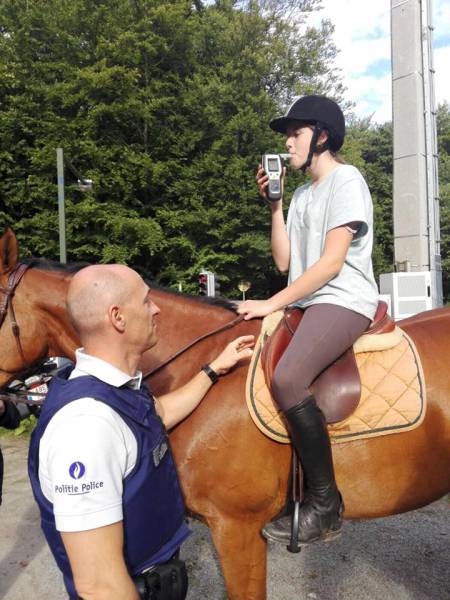 daily picdump weekend edition 57 pics 3.html - 57 HD Photos | Premium Gallery 2017