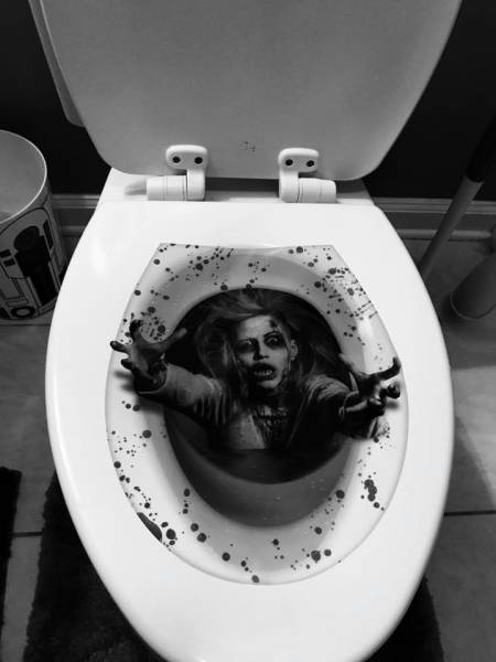 daily picdump weekend edition 57 pics 3.html - 57 HD Photos | Premium Gallery 2017