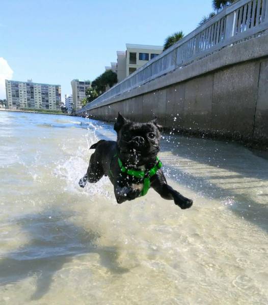 daily picdump weekend edition 57 pics 3.html - 57 HD Photos | Premium Gallery 2017