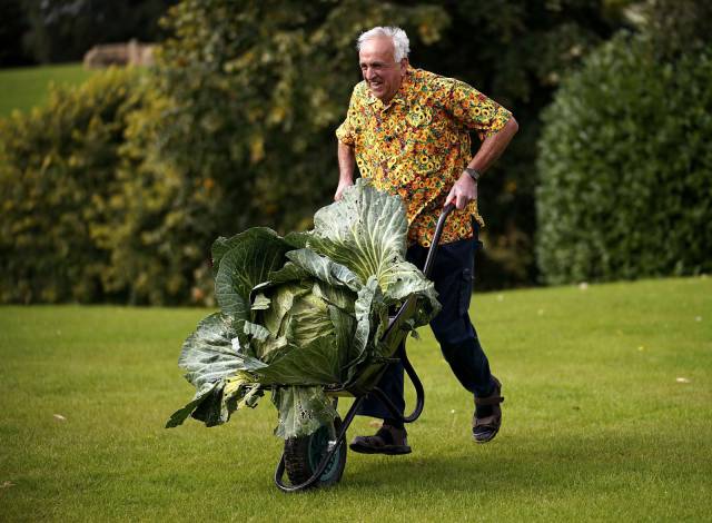 daily picdump 107 pics 3.html - 107 HD Photos | Premium Gallery 2017