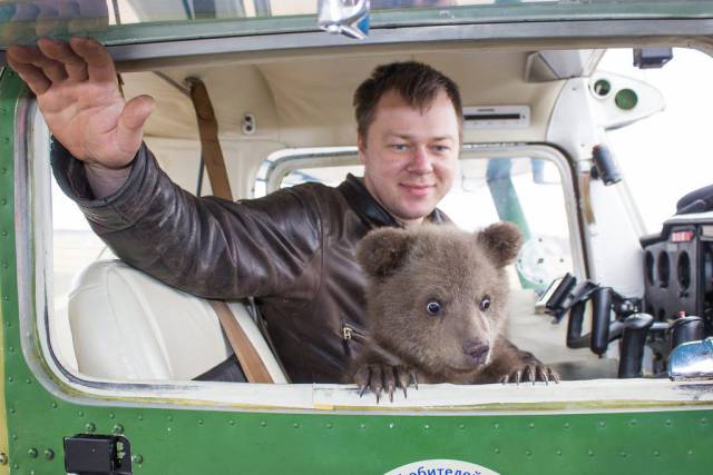 daily picdump 107 pics 3.html - 107 HD Photos | Premium Gallery 2017