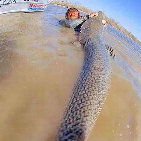 daily picdump 107 pics 3.html - 107 HD Photos | Premium Gallery 2017