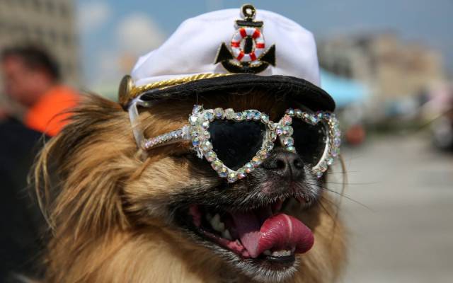 daily picdump 107 pics 3.html - 107 HD Photos | Premium Gallery 2017