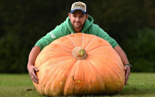 daily picdump 107 pics 3.html - 107 HD Photos | Premium Gallery 2017