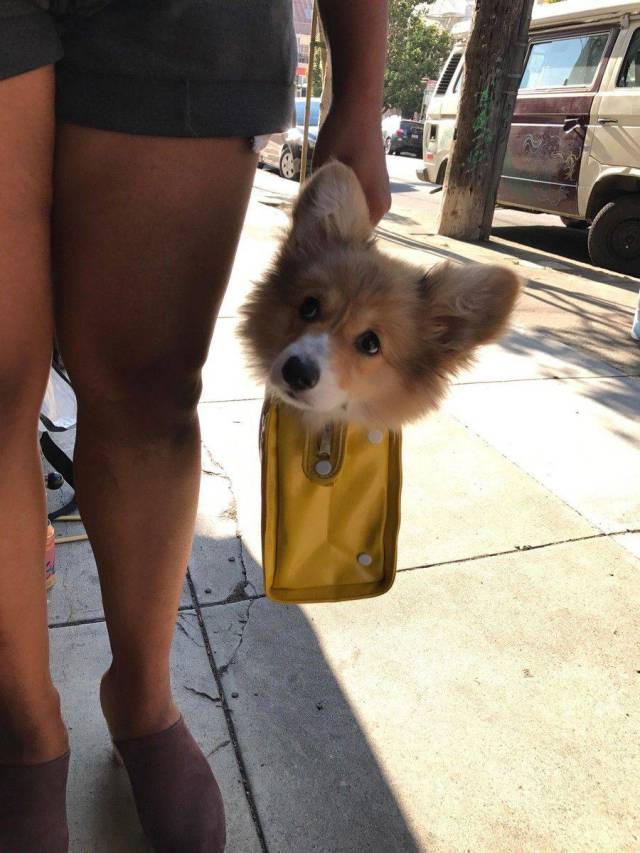 daily picdump 107 pics 3.html - 107 HD Photos | Premium Gallery 2017