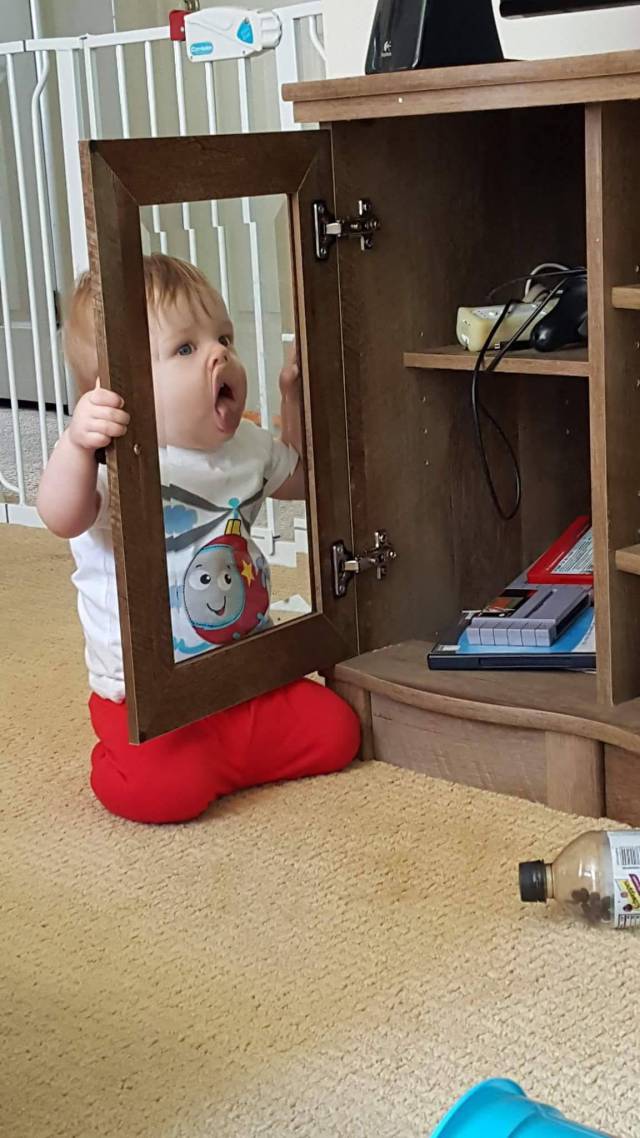 daily picdump 107 pics 3.html - 107 HD Photos | Premium Gallery 2017