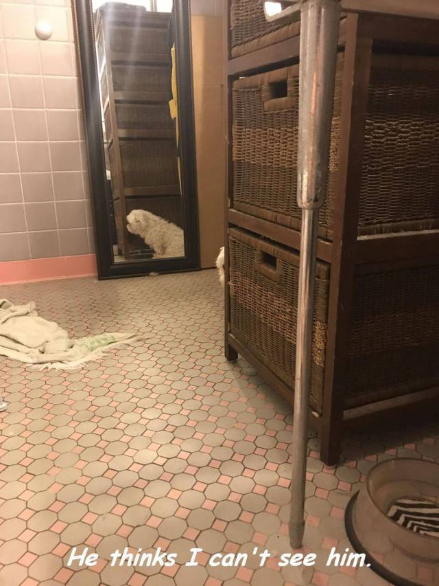 daily picdump 107 pics 3.html - 107 HD Photos | Premium Gallery 2017