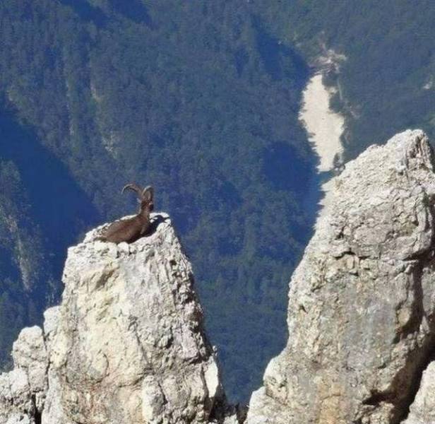 daily picdump 98 pics 29.html - 98 HD Photos | Premium Gallery 2017