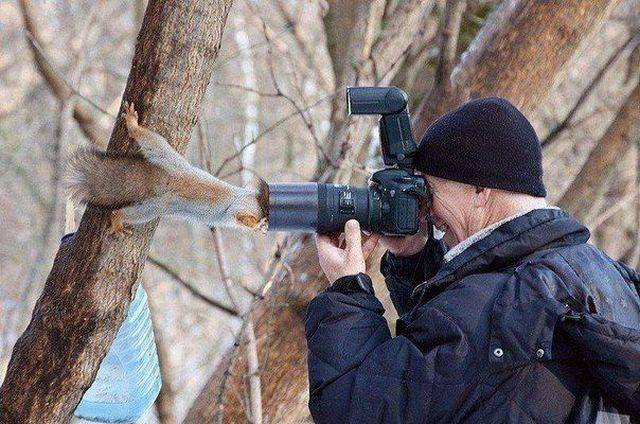 daily picdump 98 pics 29.html - 98 HD Photos | Premium Gallery 2017