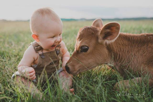 daily picdump 98 pics 29.html - 98 HD Photos | Premium Gallery 2017