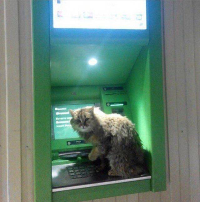 daily picdump 98 pics 29.html - 98 HD Photos | Premium Gallery 2017