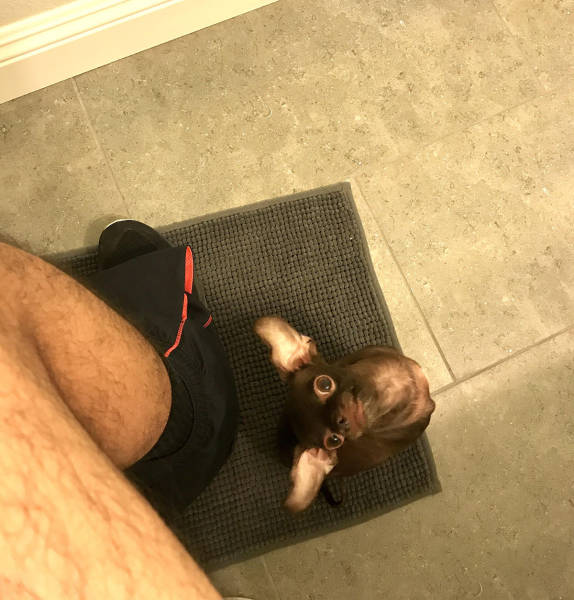 morning picdump 54 pics 8.html - 54 HD Photos | Premium Gallery 2017