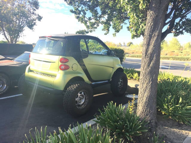 morning picdump 54 pics 8.html - 54 HD Photos | Premium Gallery 2017