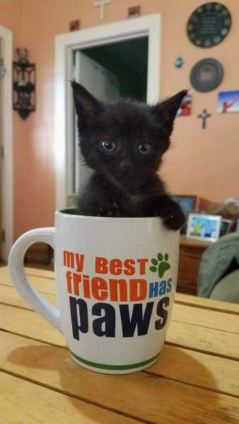 morning picdump 54 pics 8.html - 54 HD Photos | Premium Gallery 2017