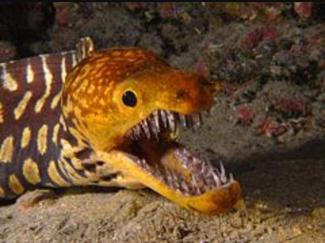 morning picdump 54 pics 8.html - 54 HD Photos | Premium Gallery 2017